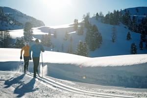 Skyview Chalets am Camping Toblacher See v zime