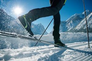 Skyview Chalets am Camping Toblacher See v zime