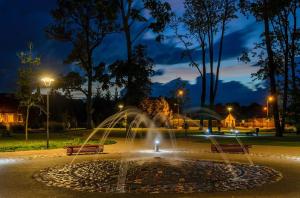 a fountain in the middle of a park at night at Marijampole Apartment with FREE Parking in Marijampolė