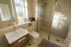 a bathroom with a shower and a sink and a toilet at Dunroamin Bed & Breakfast in Drymen