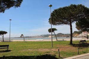 a park with benches and a beach with a tree at Bela Baia Holiday in Salir do Porto