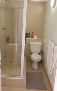a bathroom with a toilet and a shower at 904 Tenbury Beach Apartment in Durban