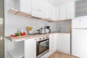 Kuchyň nebo kuchyňský kout v ubytování Kosyforema Villas