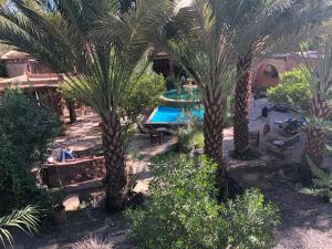 an aerial view of a yard with palm trees at Le Chant Des Palmiers in Agdz