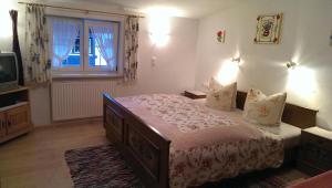 Schlafzimmer mit einem Bett, einem TV und einem Fenster in der Unterkunft Schusterhof in Mittelberg