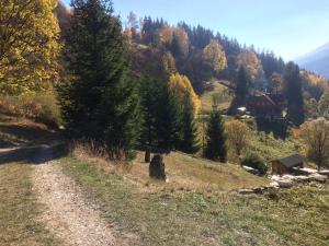 Príroda v okolí penziónu