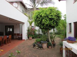 a courtyard with a tree and some plants and a house at Melkhoutkloof Guest House in Outeniqua Strand