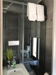 a bathroom with a sink and a toilet and a shower at Chelenko Lodge in Puerto Tranquilo
