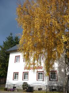 Biały dom z drzewem przed nim w obiekcie Villa Plischke w mieście Lipova Lazne