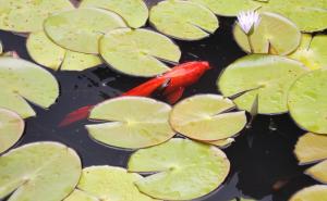 Φωτογραφία από το άλμπουμ του Areté σε Tepoztlán