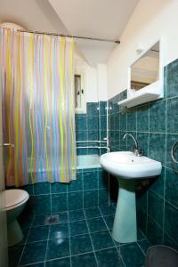 baño con lavabo y cortina de ducha en Apartman Carpe Diem, en Zajecar