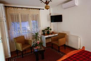 een woonkamer met 2 stoelen, een tafel en een televisie bij Apartman Carpe Diem in Zaječar
