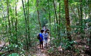 un grupo de personas caminando por un sendero en el bosque en Adventure Inn Dandeli, en Dandeli