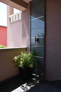 eine Glastür mit einer Pflanze neben einem Gebäude in der Unterkunft Apartments Bazina in Kaštela