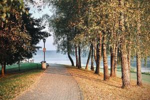 a tree lined path with a light pole and a street at Jazz Time Studio in Birštonas +2 photos