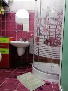 a bathroom with a shower and a sink and a toilet at Apartament JOSEFIN in Timişoara