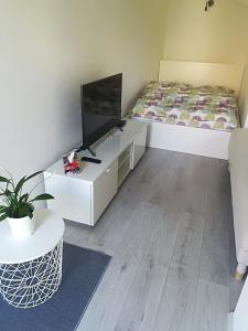 1 dormitorio con 1 cama y escritorio con TV en Modern Studio in Prague 7, en Praga