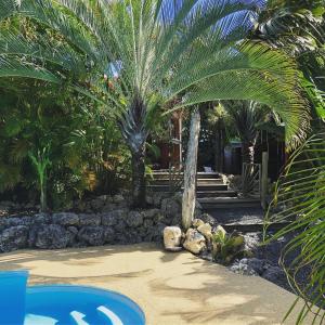 a garden with palm trees and a stone wall at Coin Paradis in Anse-Bertrand