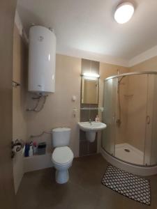 ein Bad mit einem WC, einem Waschbecken und einer Dusche in der Unterkunft Luxury apartments in St. John Park in Bansko
