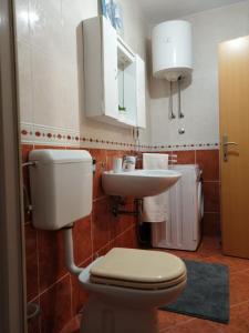 a bathroom with a toilet and a sink at Apartmani Šarić in Šibenik