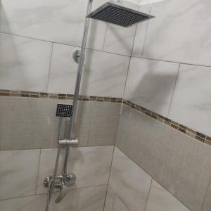 a shower with a shower head in a bathroom at Luke de Chateau in Kingston