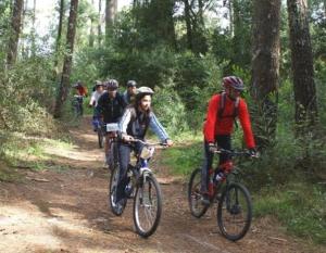 Επισκέπτες που μένουν στο Quinta do Castelo Arcos de Valdevez
