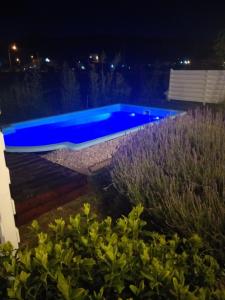 a pool with blue lighting in a garden at night at Complejo Alma Serrana in Sierra de la Ventana