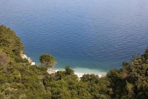 Fotografie z fotogalerie ubytování Apartments Franelli v destinaci Brseč