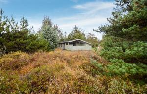 Příroda nedaleko prázdninového domu