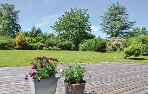 two pots of flowers on a wooden deck at Holiday Home Bredekjærs-Åsen Græsted V in Udsholt Sand