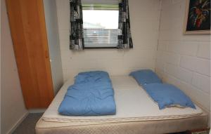 Hejlsにある2 Bedroom Lovely Home In Hejlsの青い枕2つが備わるドミトリールームのベッド1台分です。
