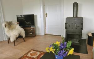 una sala de estar con fogones y un jarrón de flores en Cozy Home In Faaborg With Wifi, en Faaborg