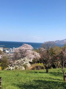a view of a field with trees and the ocean at Guest House Asahi in Otaru