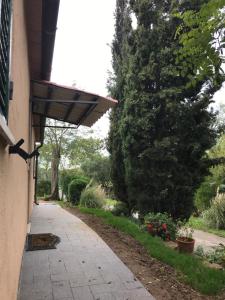 Zahrada ubytování Podere Pini