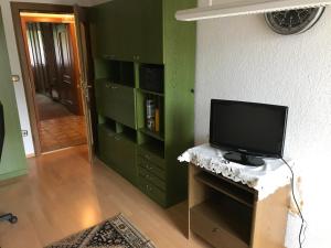 TV a/nebo společenská místnost v ubytování Gemütliches Gästehaus!