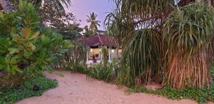 Κήπος έξω από το Talalla Beach Bungalows