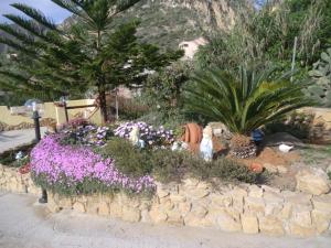 A garden outside Sa Corte Antiga