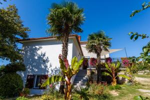 a house with palm trees in front of it at Apartment Ane in Kras