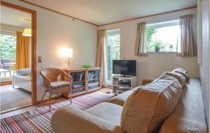 un salon avec un canapé et une télévision dans l'établissement Four-Bedroom Holiday Home In Farevejle, à Fårevejle