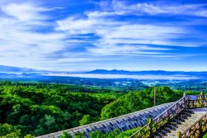 a view from the top of a mountain with trees at Kyukamura Iwate-Amiharionsen in Shizukuishi