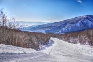 a snow covered road with a mountain in the background at Kyukamura Iwate-Amiharionsen in Shizukuishi