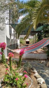 una hamaca en un patio junto a una casa en El olivar de Concha, Caminito del Rey, en Álora