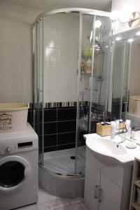 a bathroom with a shower with a sink and a washing machine at Résidence Croix Margot in Villard-de-Lans