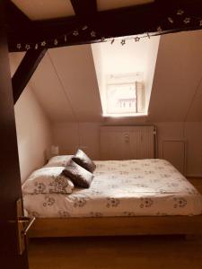 Tempat tidur dalam kamar di Le petit Colmarien hyper-centre
