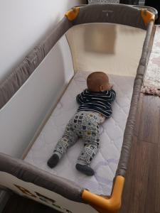 Postel nebo postele na pokoji v ubytování Vadóka ház