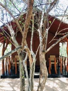 Fotografie z fotogalerie ubytování Rivosen Camp Yala Safari v destinaci Yala
