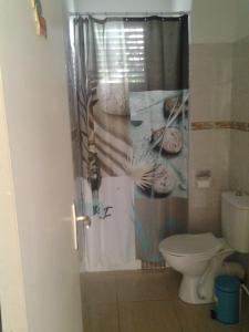 ein Bad mit einem WC und einem Duschvorhang in der Unterkunft Villa Le Balisier in Le Lamentin
