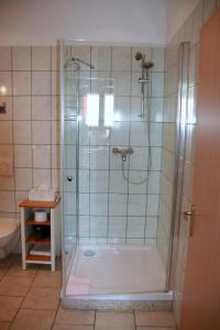 a bathroom with a shower with a glass door at Romantik Landhaus & Pension Klaps Liebling in Lübben