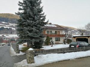 une maison avec un pin dans la neige dans l'établissement Angi's Apartment, à Sankt Lorenzen ob Murau