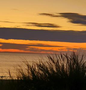 Příroda nedaleko kempu